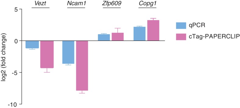 Figure 2—figure supplement 2.