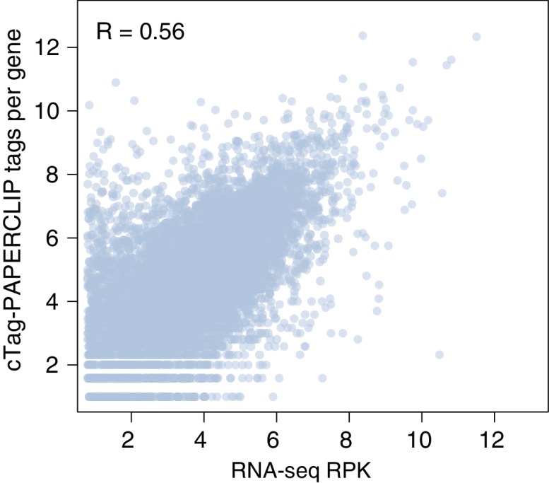 Figure 3—figure supplement 1.