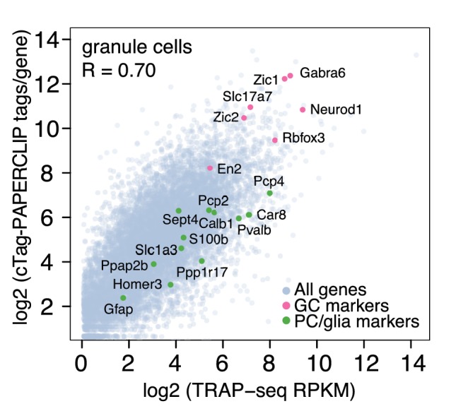 Figure 1—figure supplement 1.