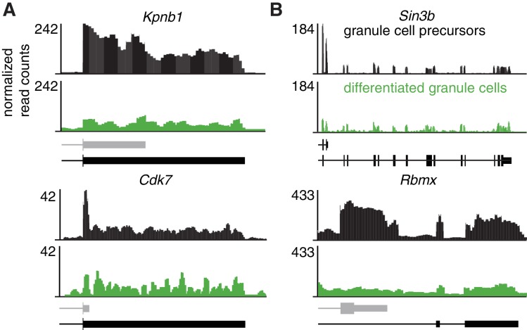 Figure 3—figure supplement 2.