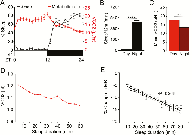 Figure 2—