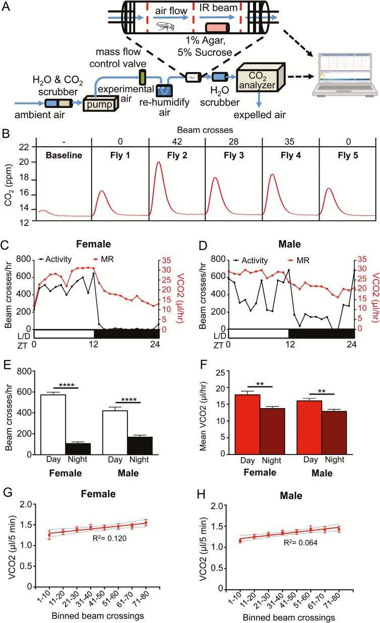 Figure 1—