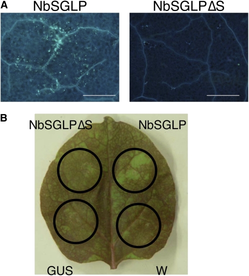 Figure 10.