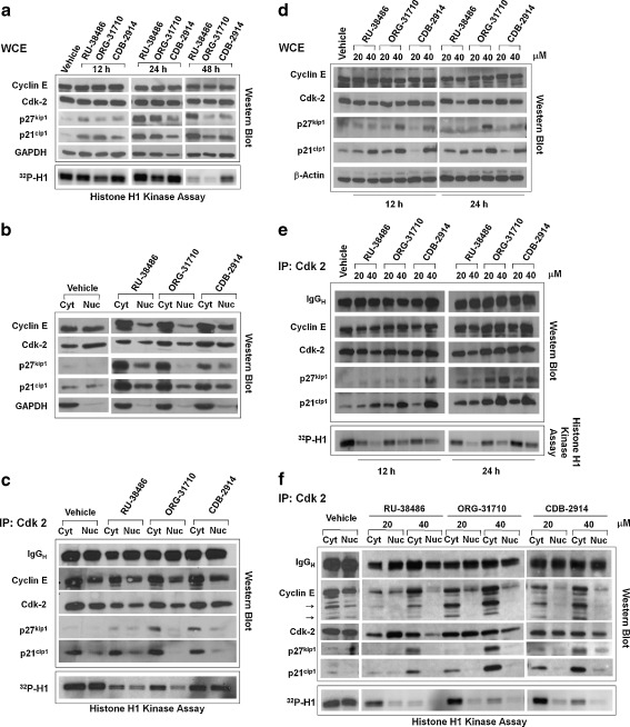 Fig. 6