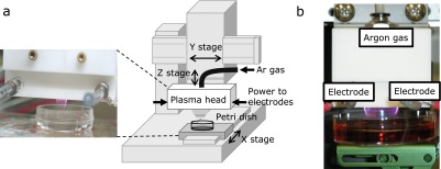 Fig. 1
