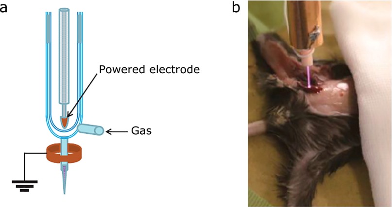 Fig. 2