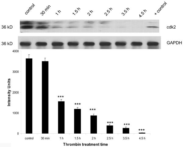 Figure 3b