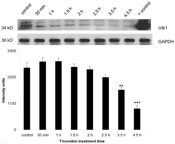 Figure 4b