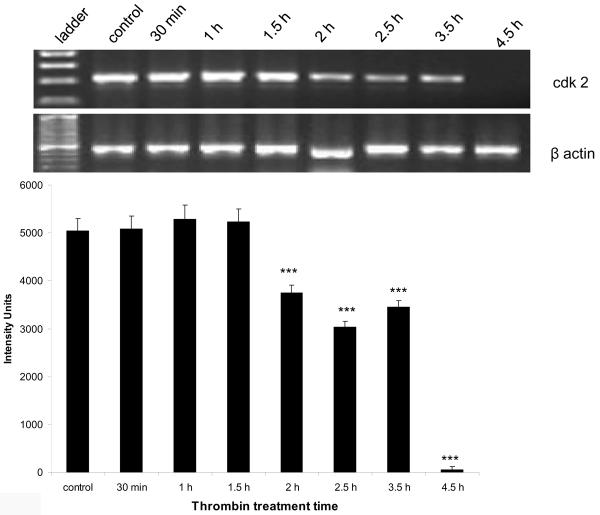 Figure 3a