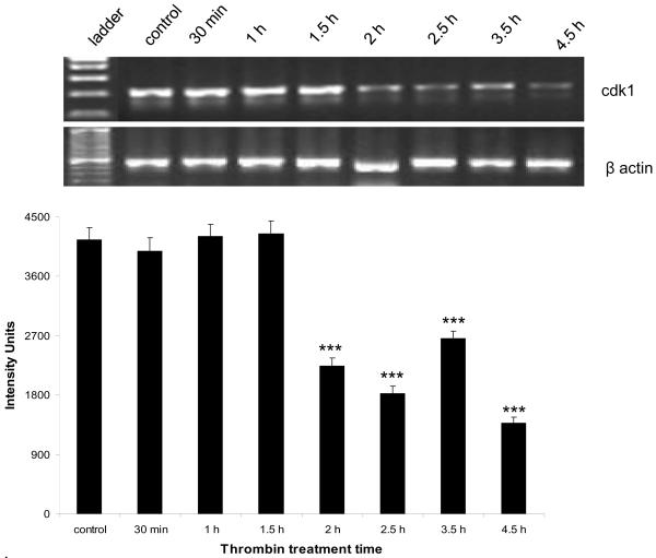 Figure 4a