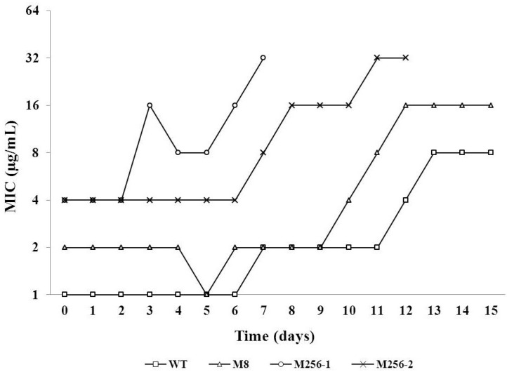 Figure 5