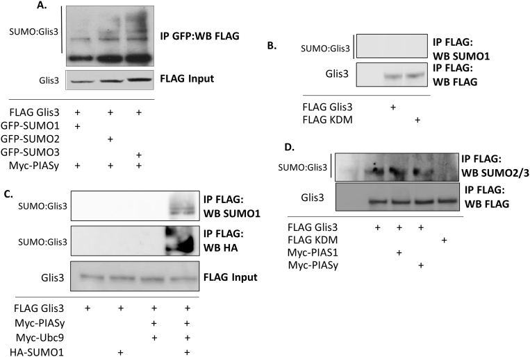 Fig. 4