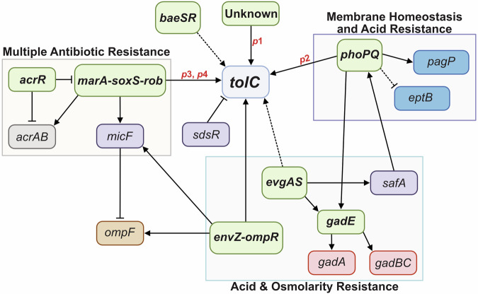 Fig. 4