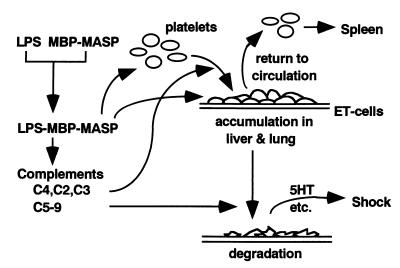 FIG. 6