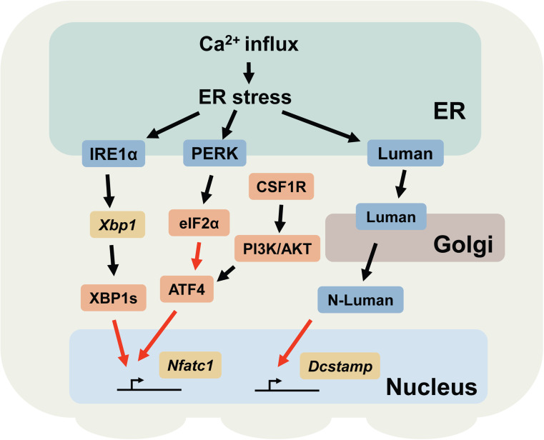 Fig. 3