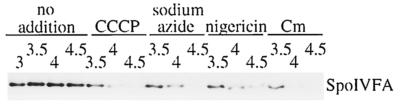 FIG. 8.