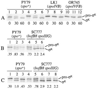 FIG. 9.