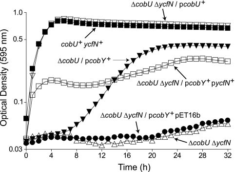 FIG. 2.