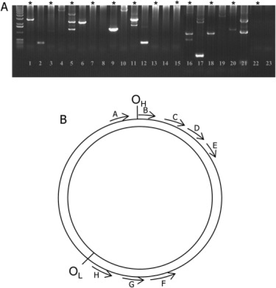 Figure 1