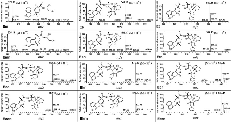 Fig. 3