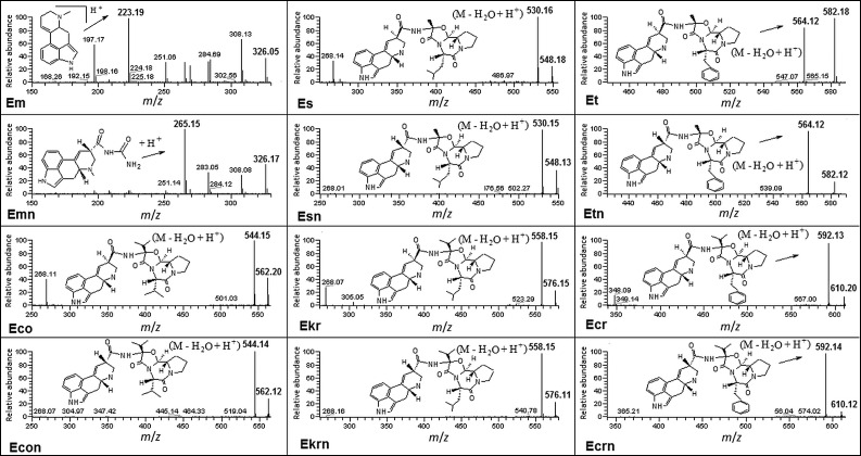 Fig. 4