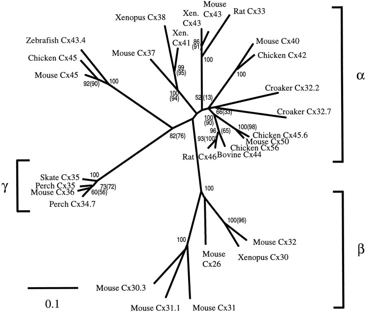 Fig. 9.