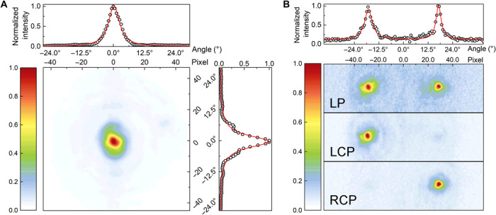 Fig. 4