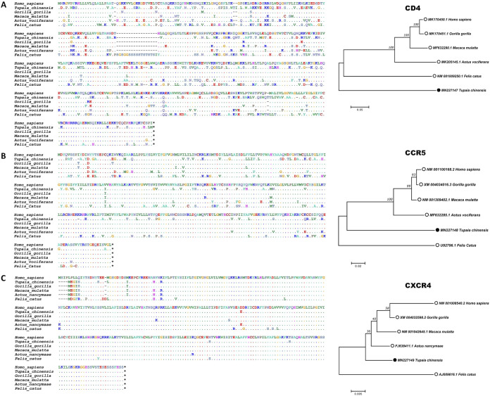 FIG 2