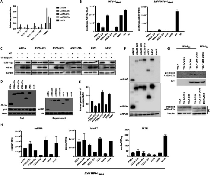 FIG 6