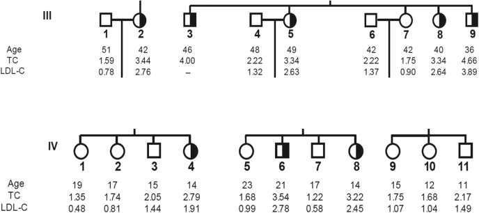 Fig. 3