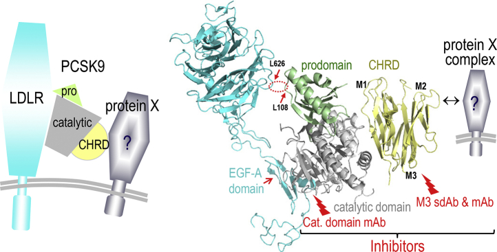 Fig. 4