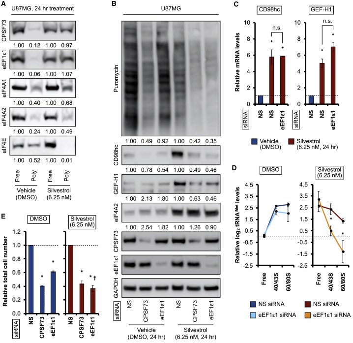 Figure 6