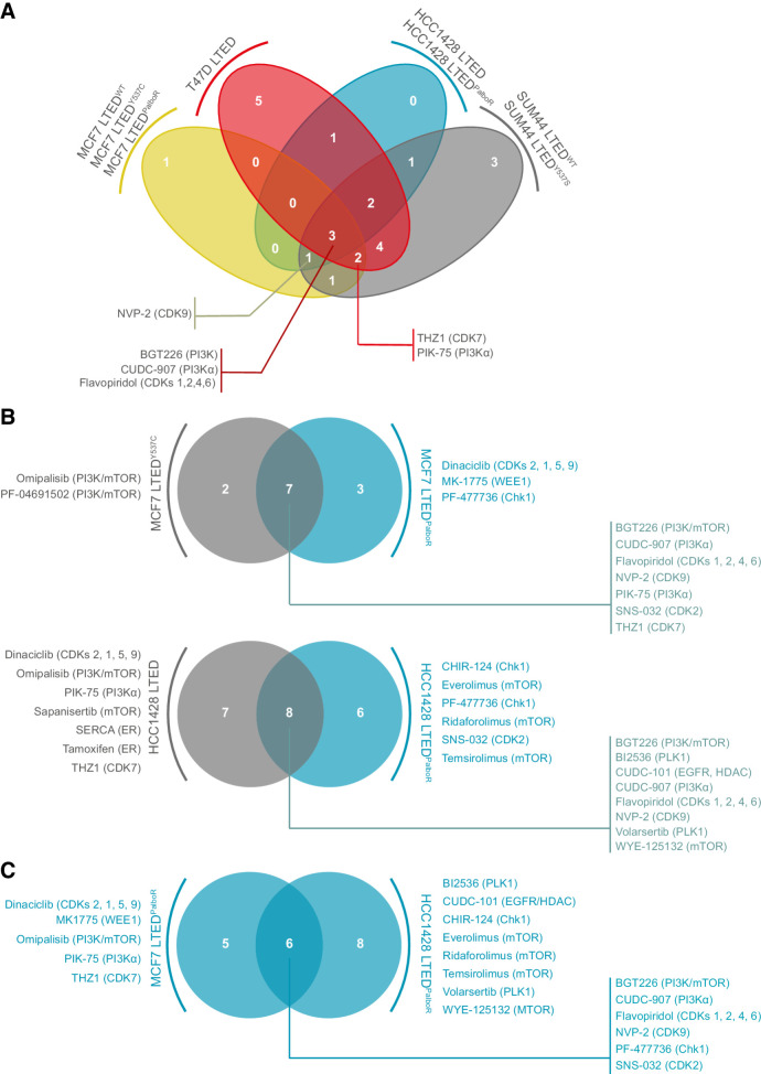 Figure 2. Three-dimensional kinase inhibitor screens in LTED and palbociclib-resistant breast cancer cell line models. Three-dimensional assays were performed at 250 nmol/L final drug concentration (see Materials and Methods). Compounds with a robust Z-score ≤1.65 were classified as hits. A, Venn diagram illustrating the number of hits common to three or four of the cell line groups indicated. B, Comparison of hits in palbociclib-sensitive MCF7 LTED and HCC1428 LTED breast cancer cell lines and their palbociclib-resistant (PalboR) derivatives. C, Comparison of the hits in the palbociclib-resistant cell lines MCF7 LTEDPalboR and HCC1428 LTEDPalboR.