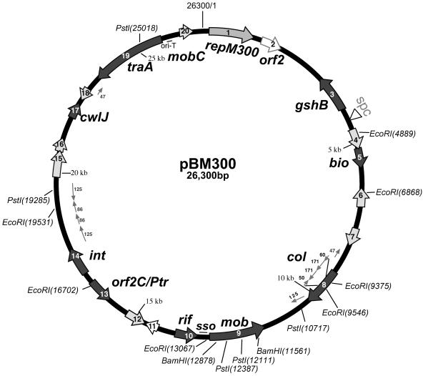 FIG. 5.