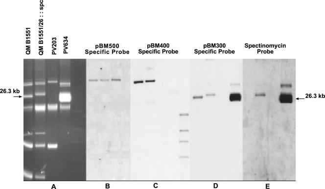 FIG. 2.