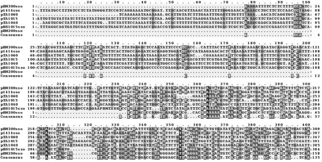 FIG. 7.