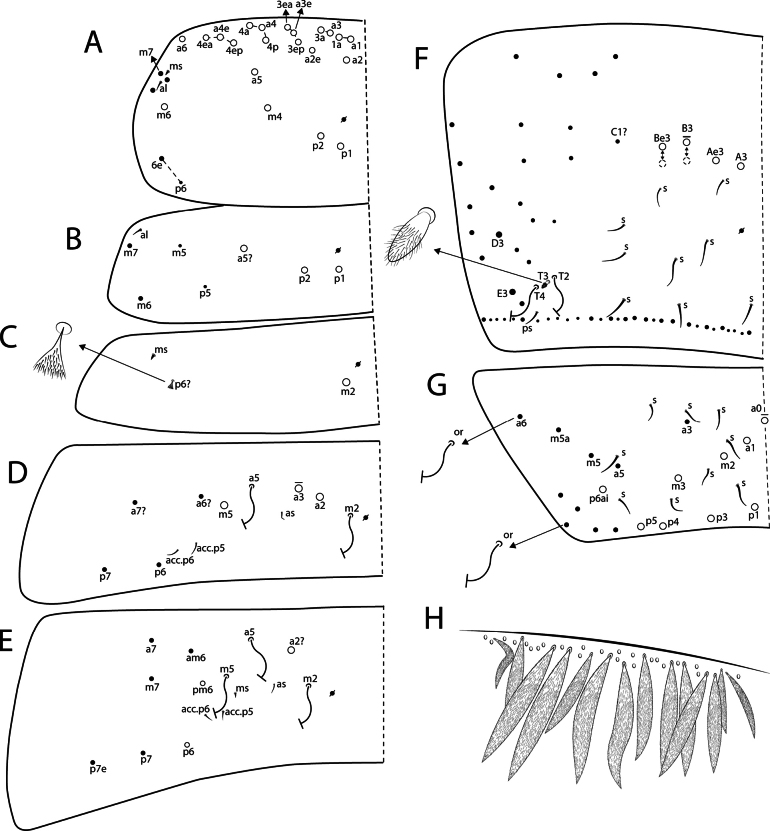 Figure 6.