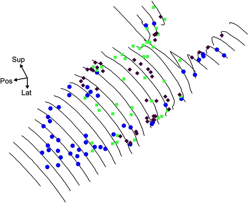 FIG. 5.