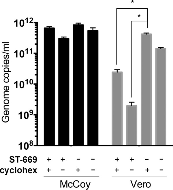 FIG 6