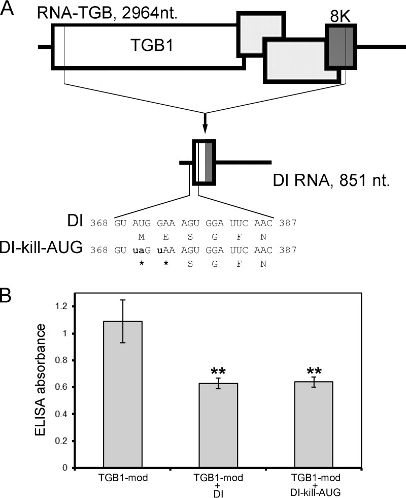 Fig 9