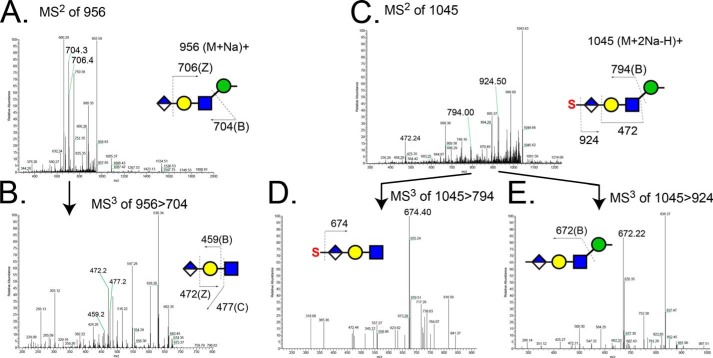 FIGURE 9.