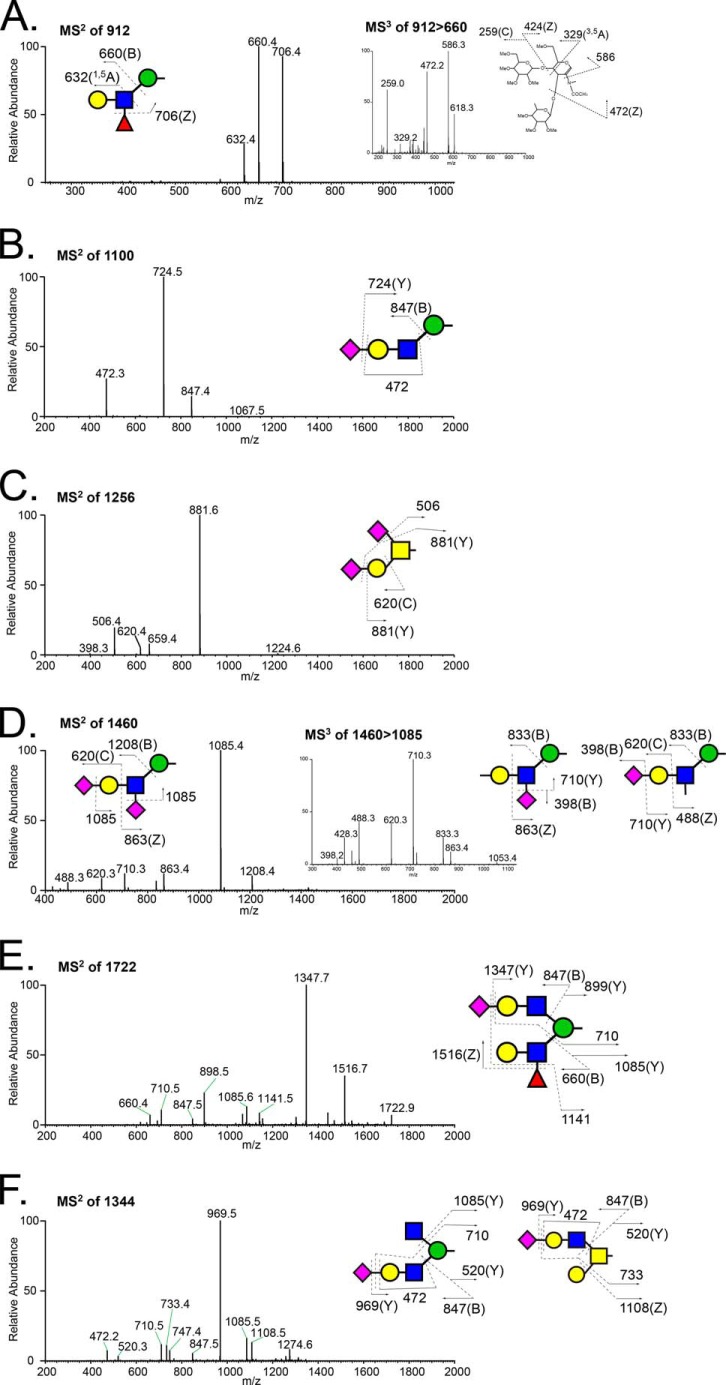 FIGURE 6.