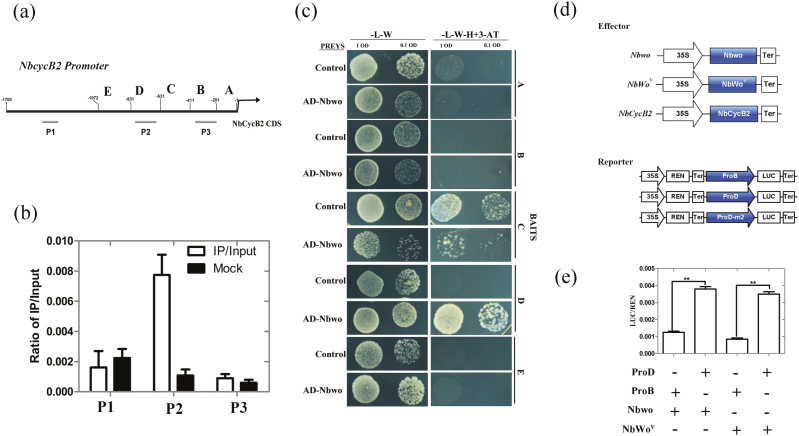 Fig. 3.