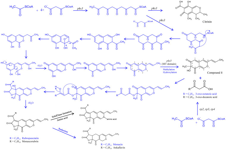 Figure 5