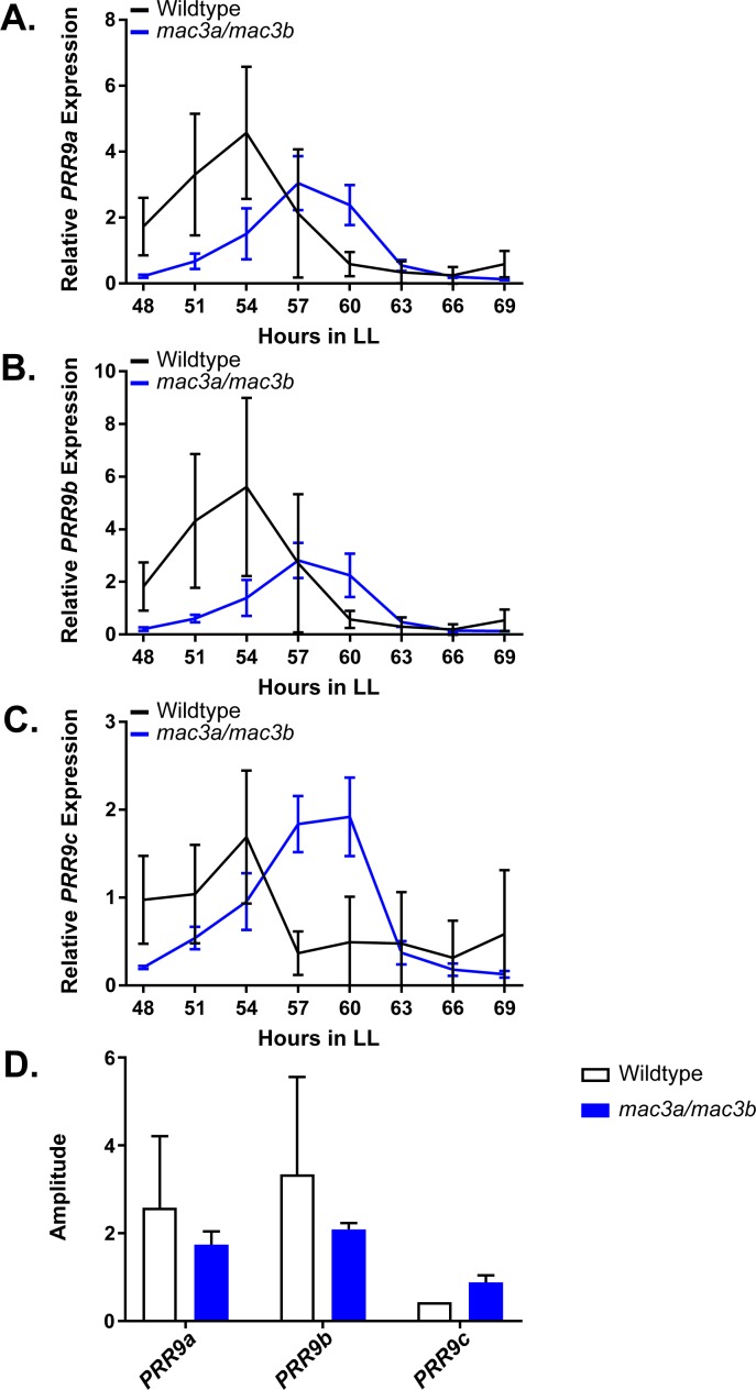 Figure 11.