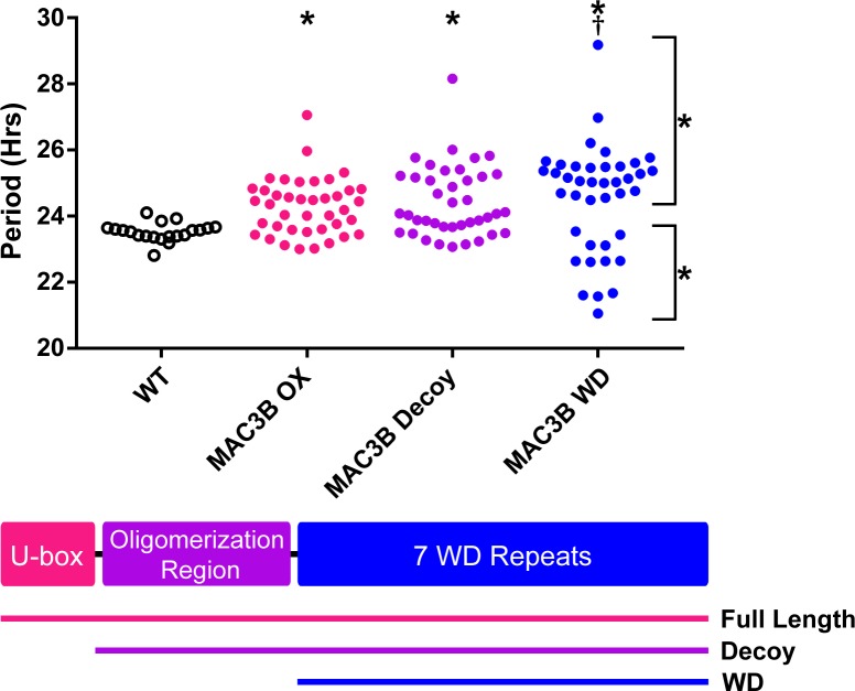 Figure 12.