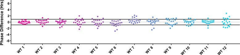 Figure 5—figure supplement 1.