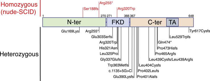 Figure 1