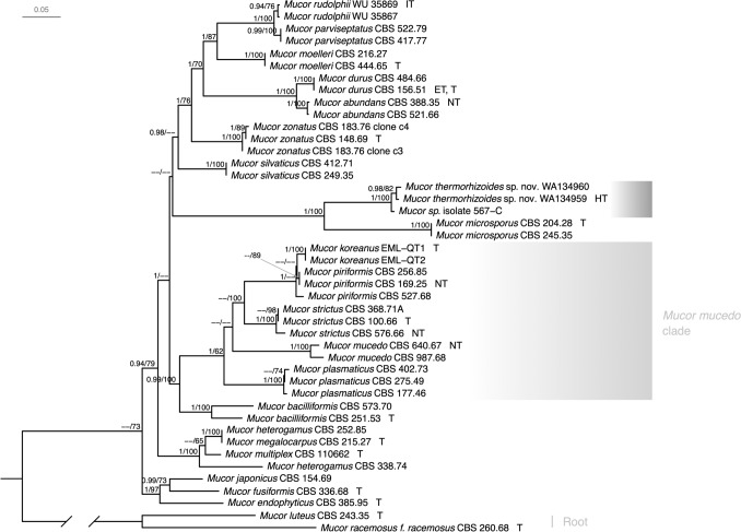 Fig. 2