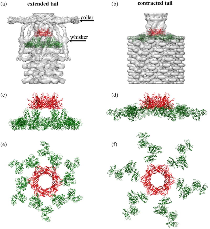 Fig. 6